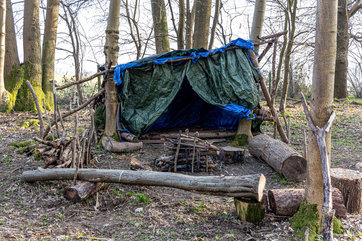 A makeshift shelter made from various tarps and long sticks. There's a fire pit in the front and other cut-down pieces of logs.